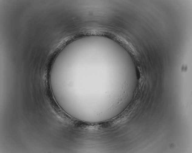 X0000096980306200802291152