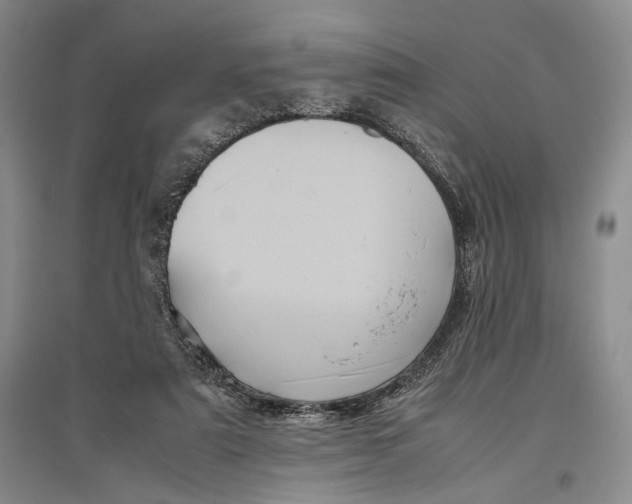 X0000096980307200802291152