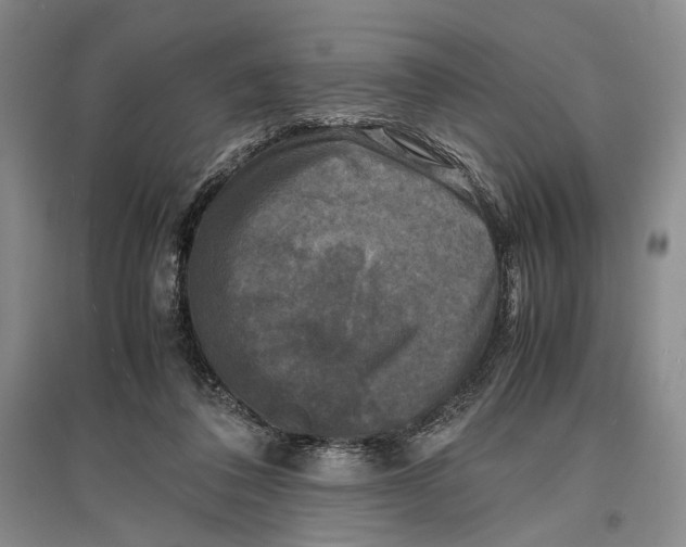 X0000096980308200802291152