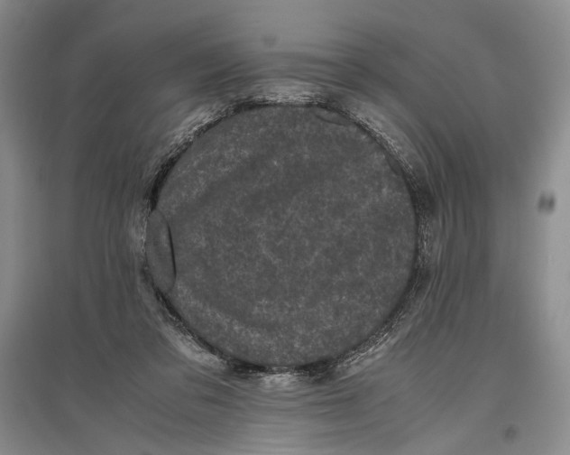 X0000096980309200802291152