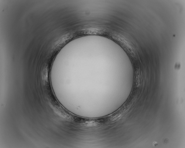 X0000096980310200802291152