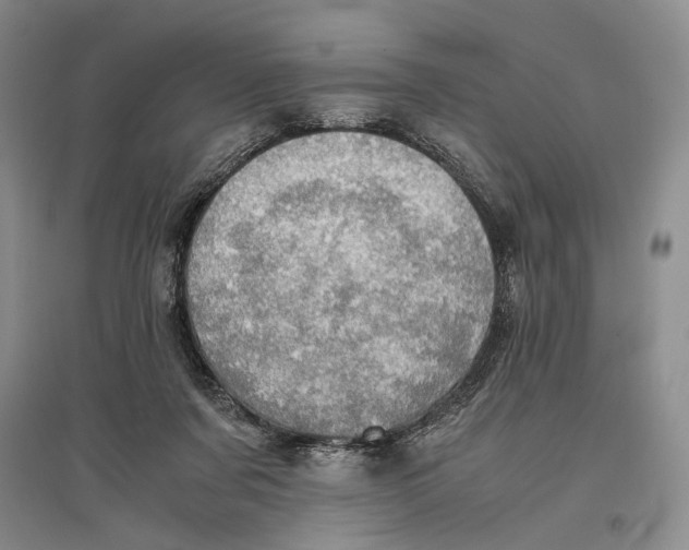 X0000096980311200802291152