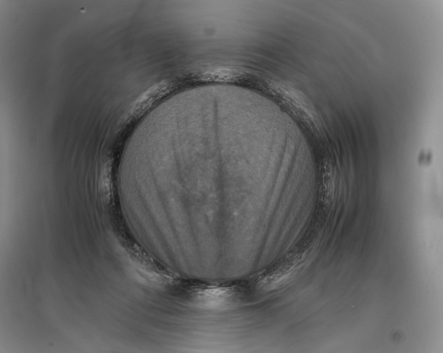 X0000096980312200802291152