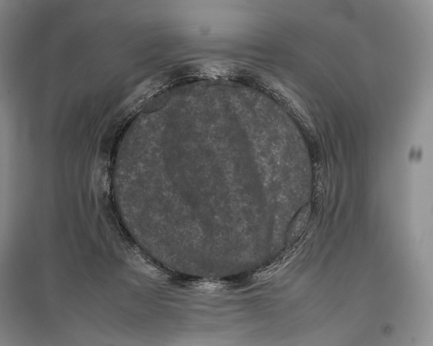 X0000096980313200802291152