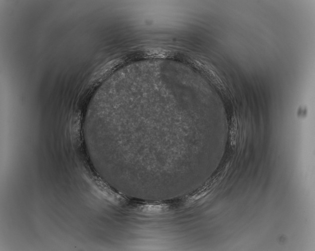 X0000096980314200802291152