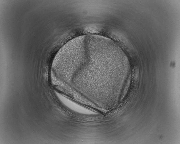 X0000096980315200802291152