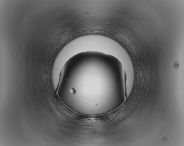 X0000096980316200802291152