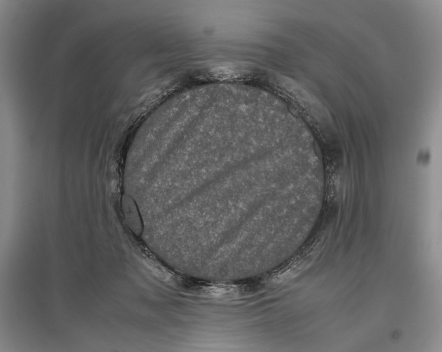 X0000096980317200802291152