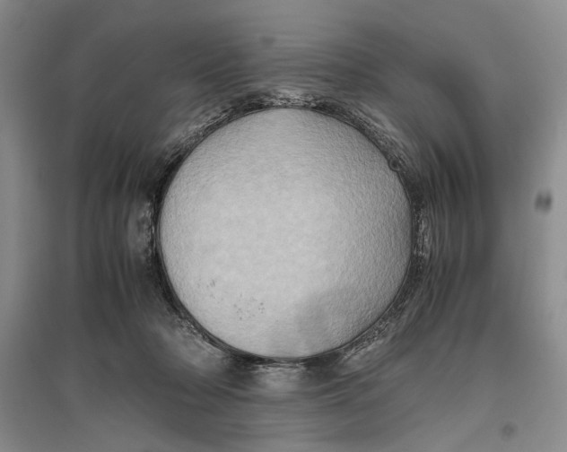 X0000096980318200802291152