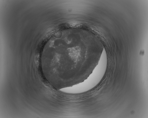 X0000096980319200802291152