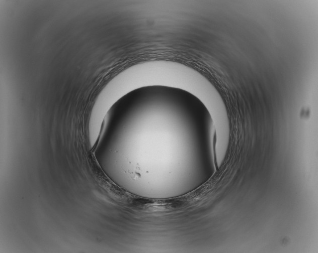 X0000096980320200802291152