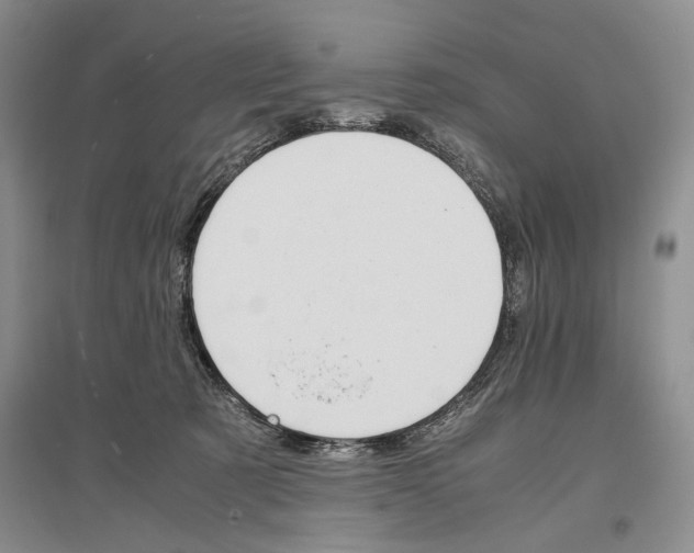 X0000096980321200802291152