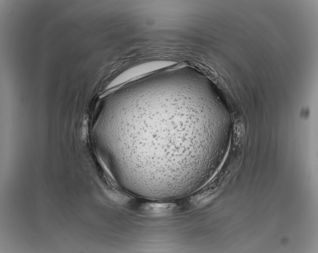 X0000096980323200802291152