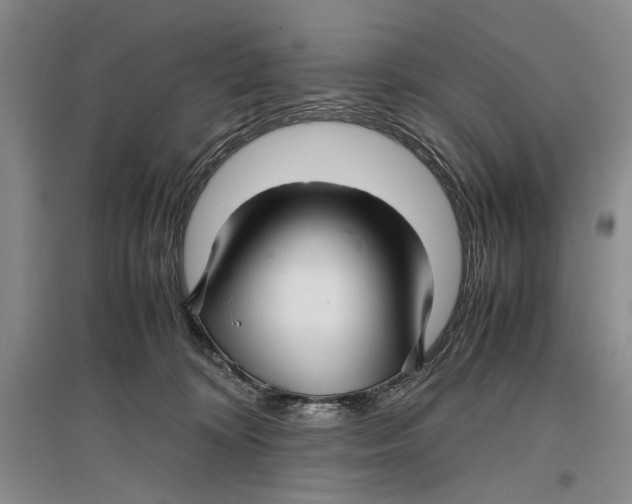 X0000096980324200802291152