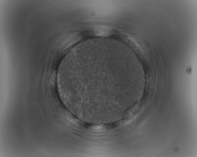 X0000096980325200802291152