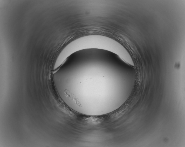 X0000096980326200802291152