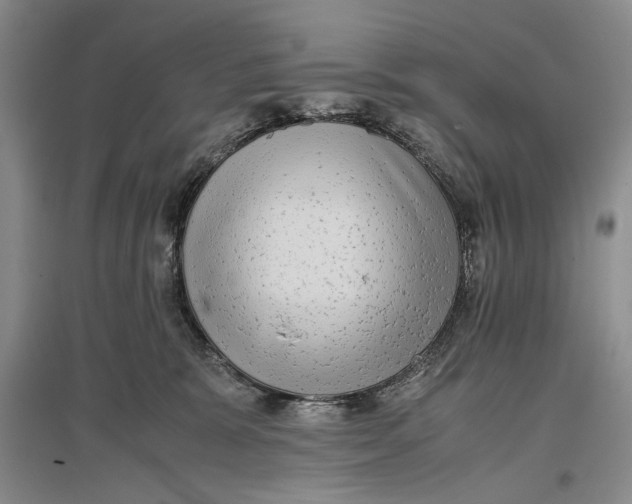 X0000096980327200802291152