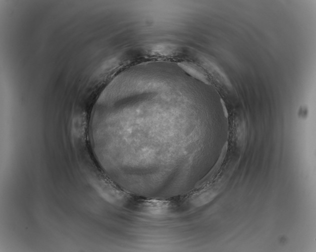 X0000096980328200802291152