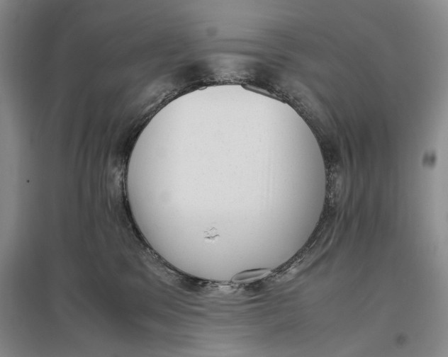 X0000096980329200802291152