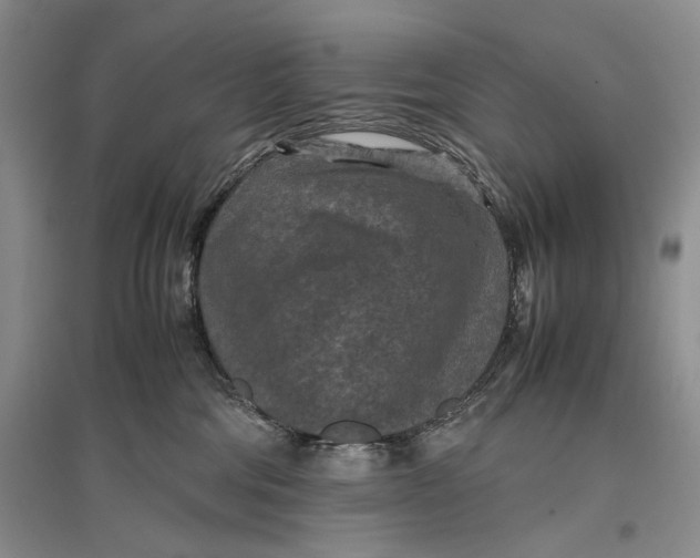 X0000096980330200802291152