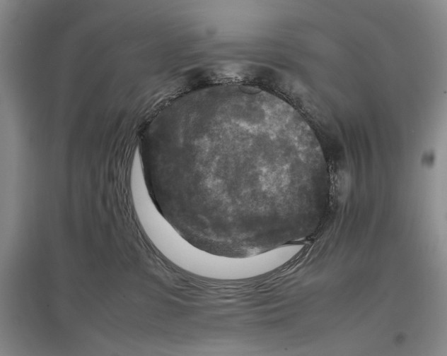 X0000096980331200802291152