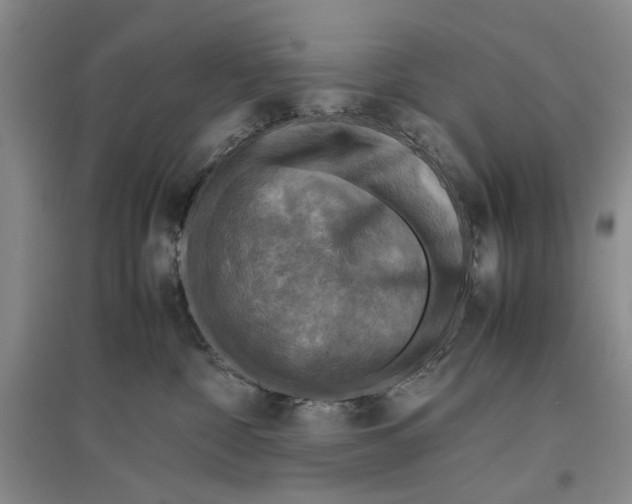 X0000096980332200802291152