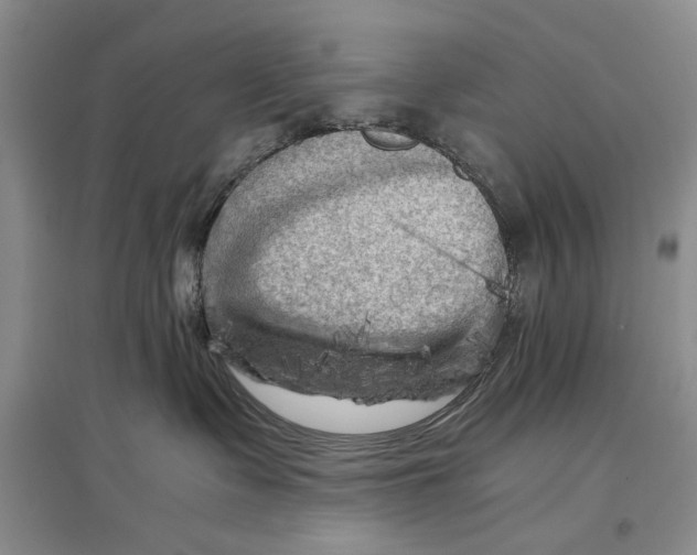 X0000096980335200802291151