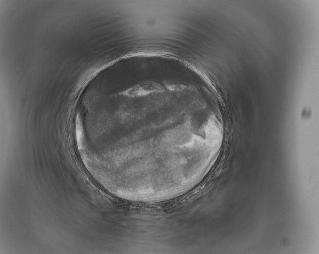 X0000096980337200802291151