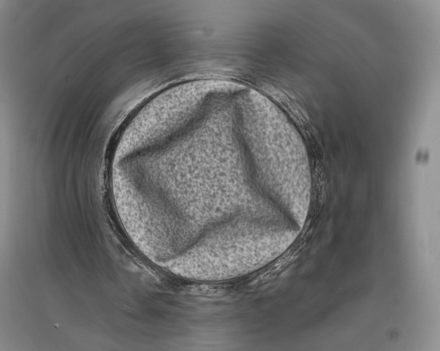 X0000096980338200802291151