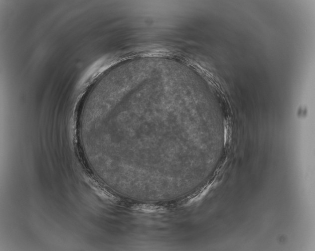 X0000096980339200802291151