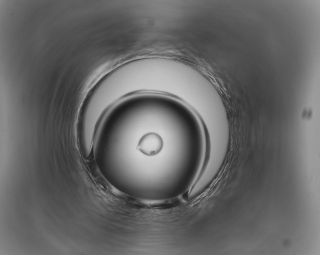 X0000096980340200802291151