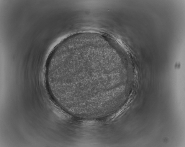 X0000096980342200802291151