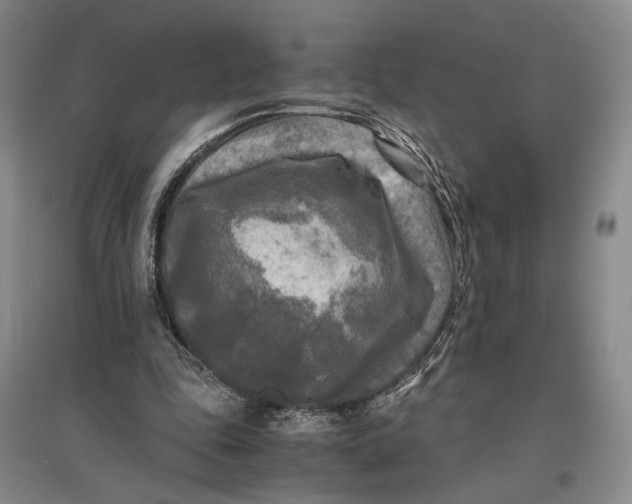 X0000096980343200802291151