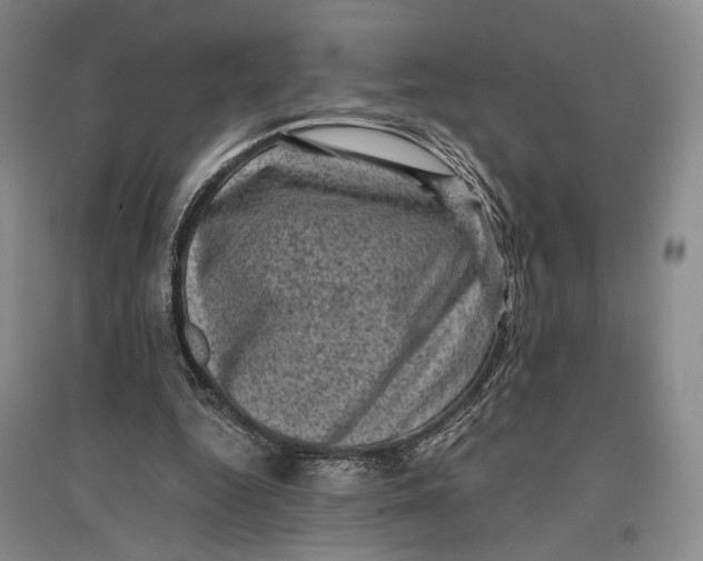 X0000096980344200802291151