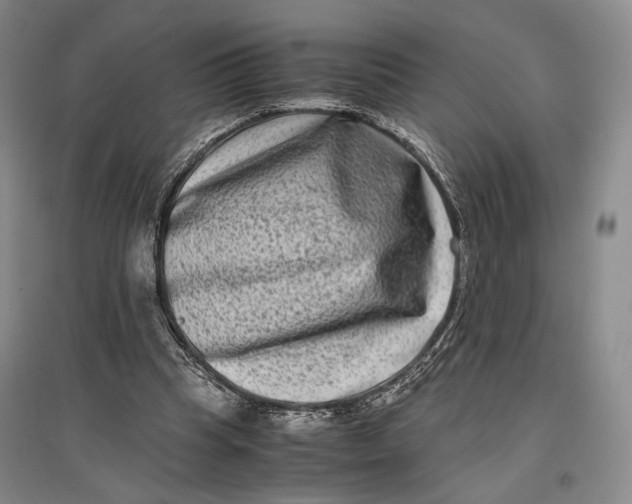 X0000096980345200802291151