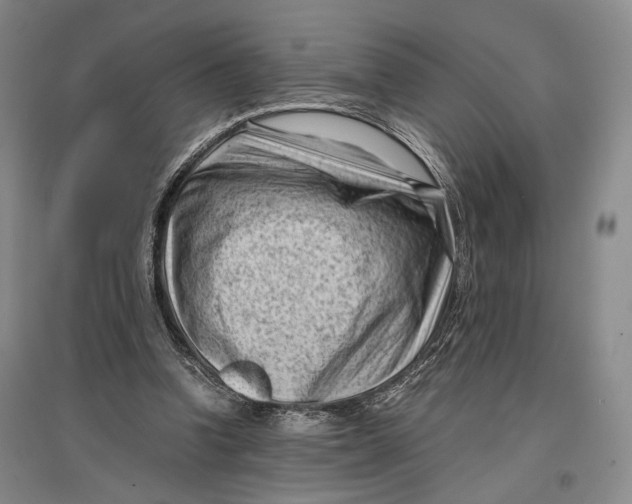 X0000096980346200802291151