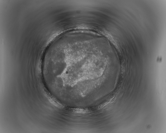 X0000096980347200802291151