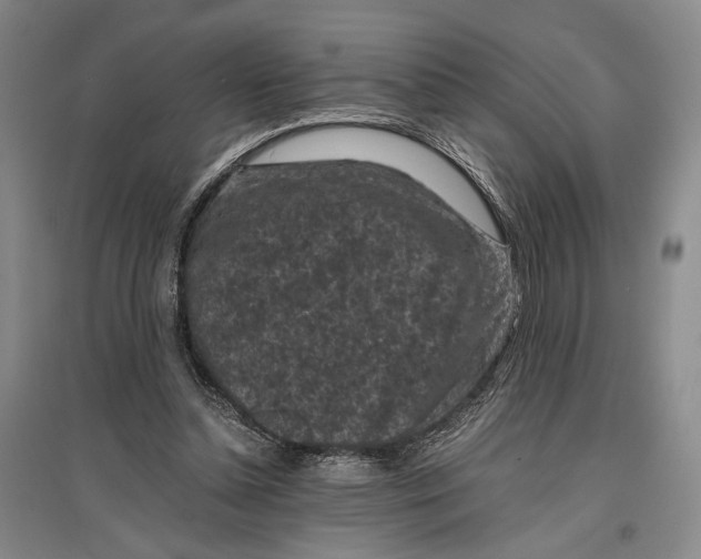 X0000096980348200802291151