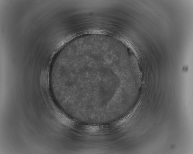 X0000096980349200802291151