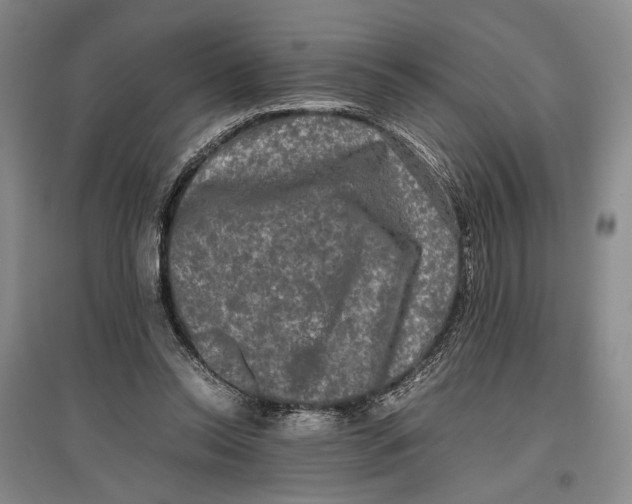 X0000096980350200802291151