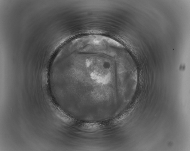 X0000096980351200802291151