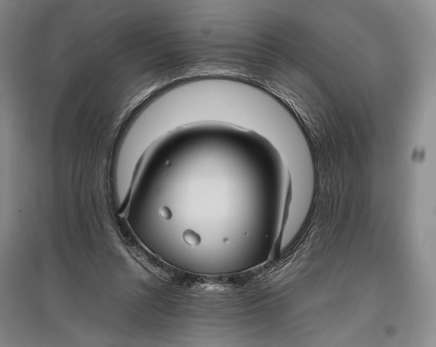 X0000096980352200802291151