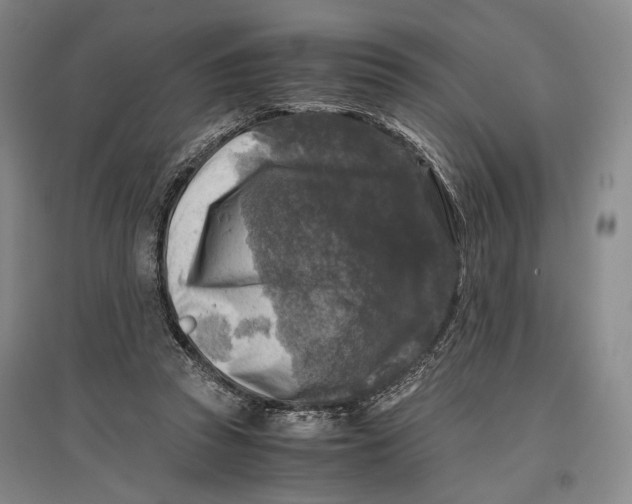 X0000096980353200802291151