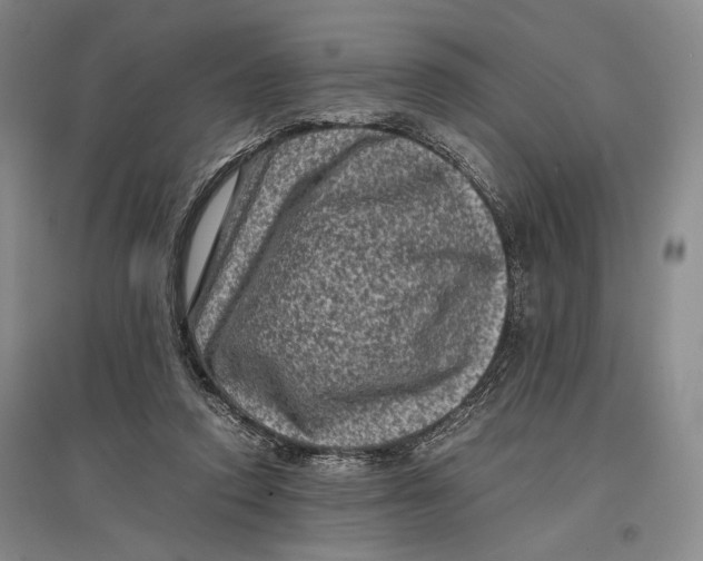 X0000096980354200802291151