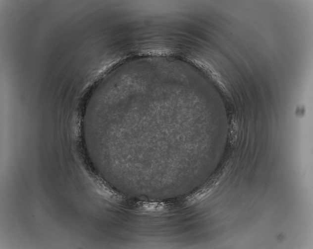 X0000096980355200802291151