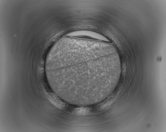 X0000096980356200802291151