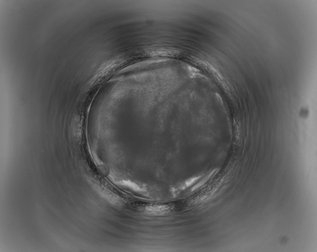 X0000096980357200802291151