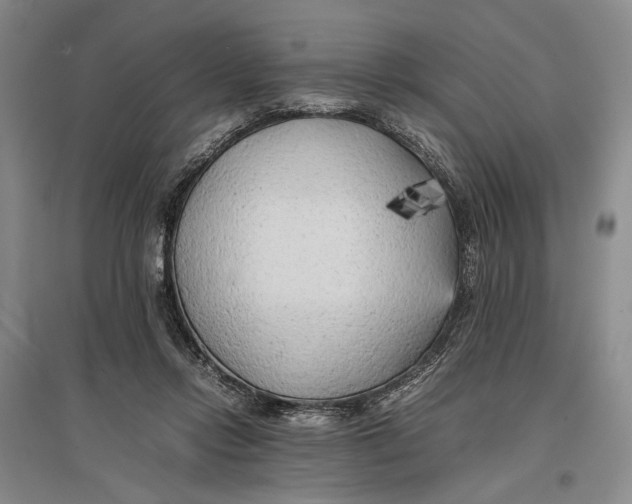 X0000096980358200802291151