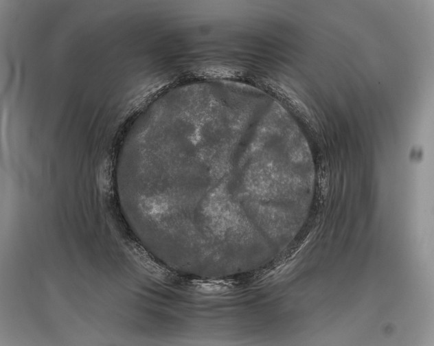 X0000096980359200802291151