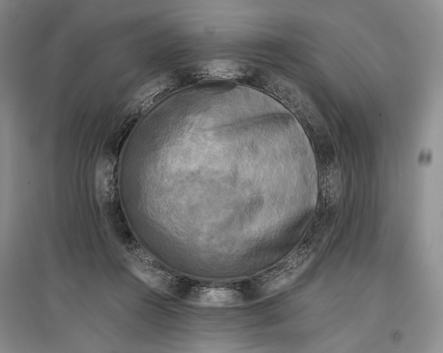 X0000096980360200802291151